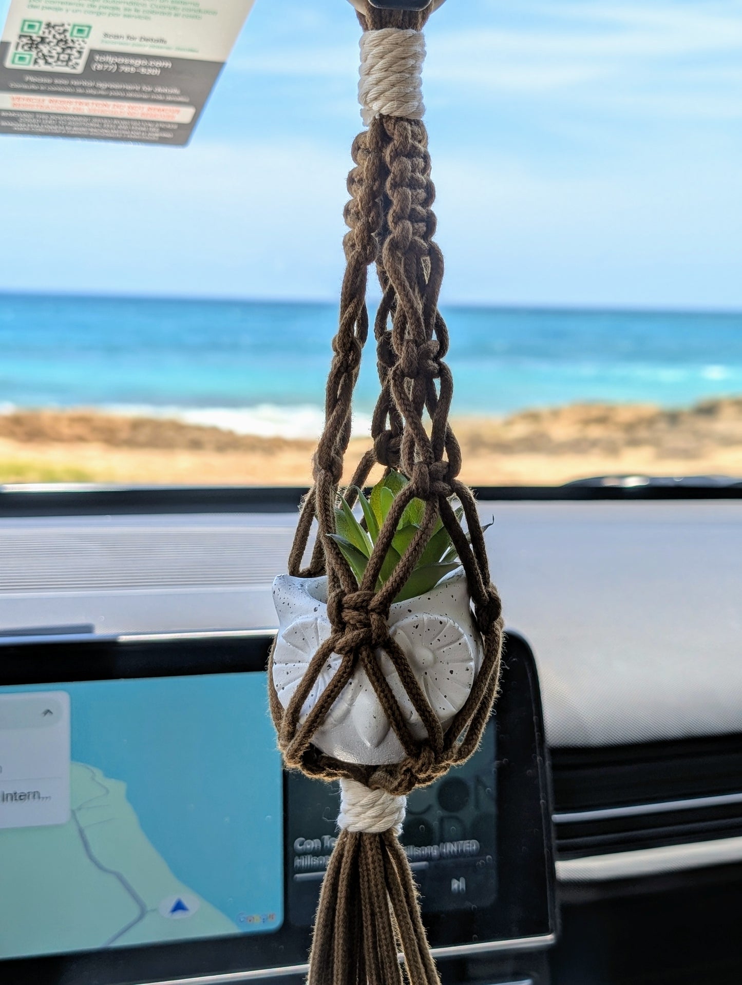 Colgante con planta para carro
