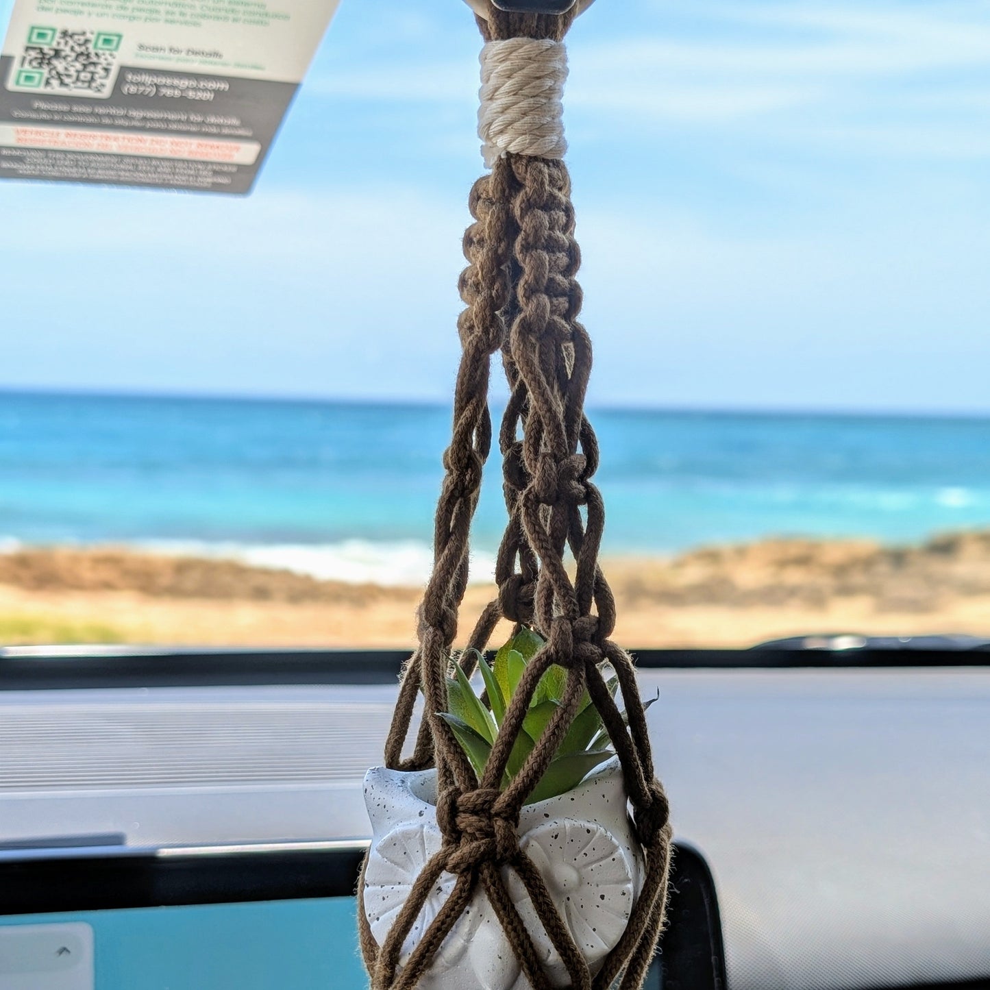 Colgante con planta para carro en macramé