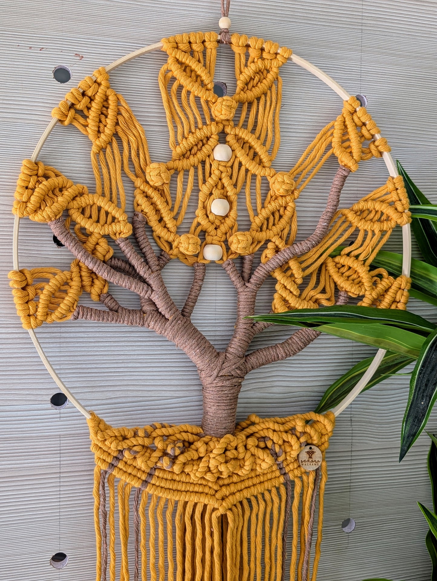 Árbol de la vida-Flamboyán amarillo