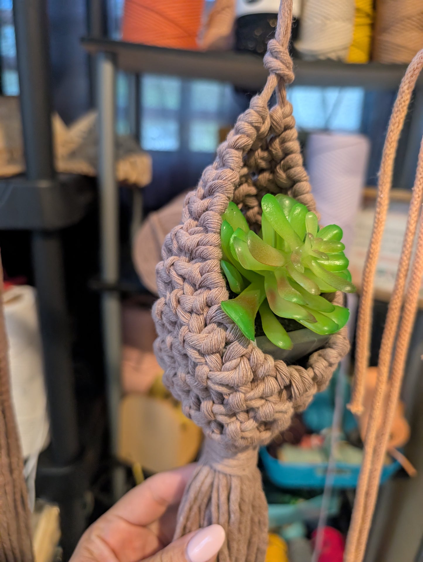 Colgante de plantas Nido