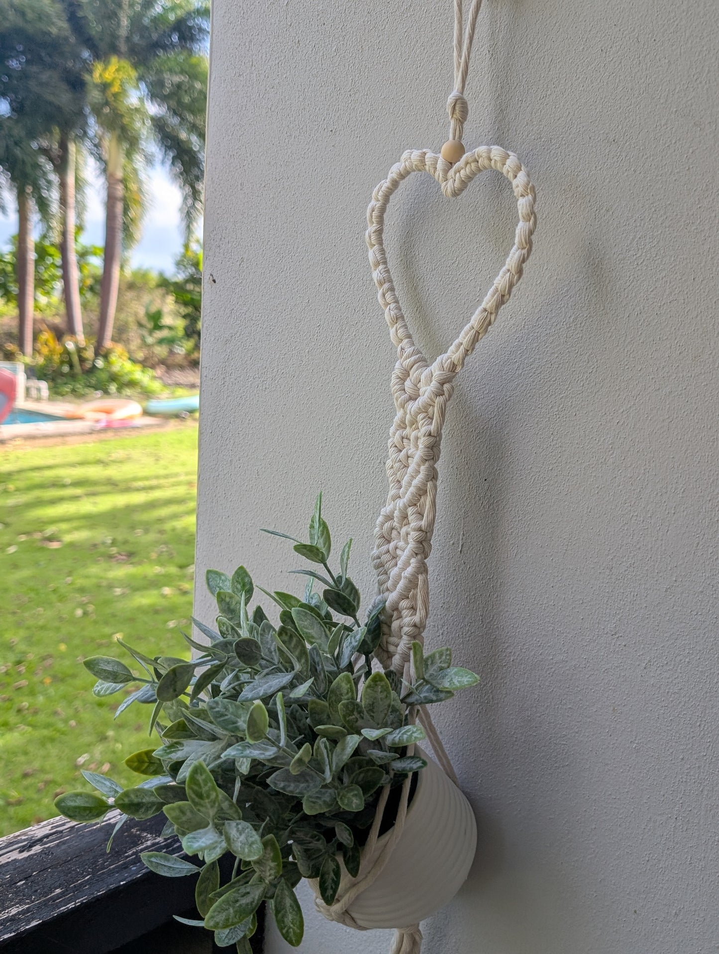 Colgante de plantas