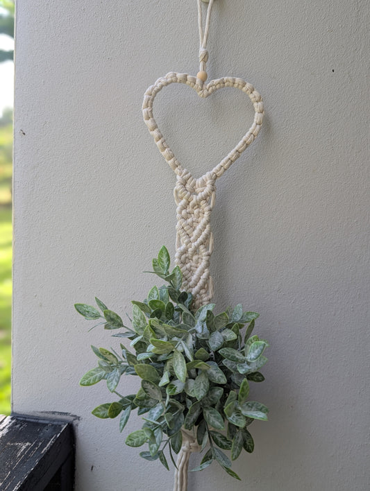 Colgante de plantas