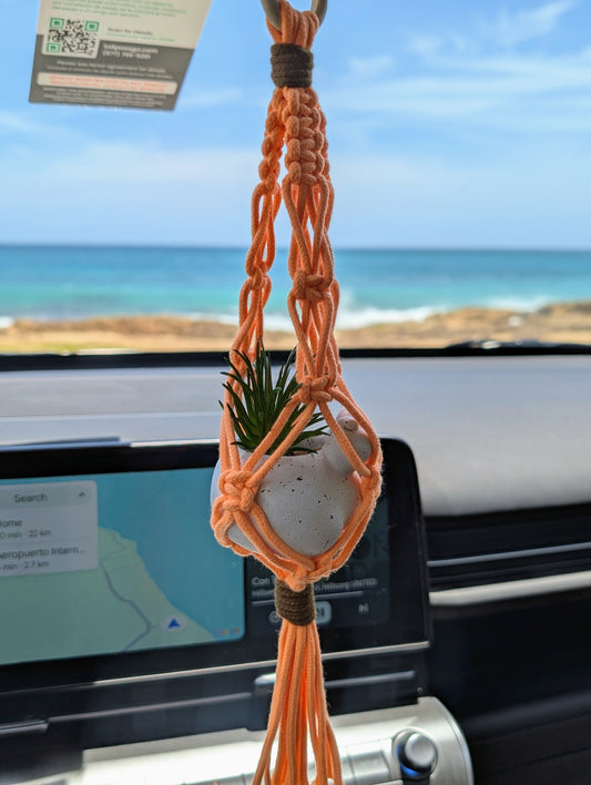 Colgante con planta para carro