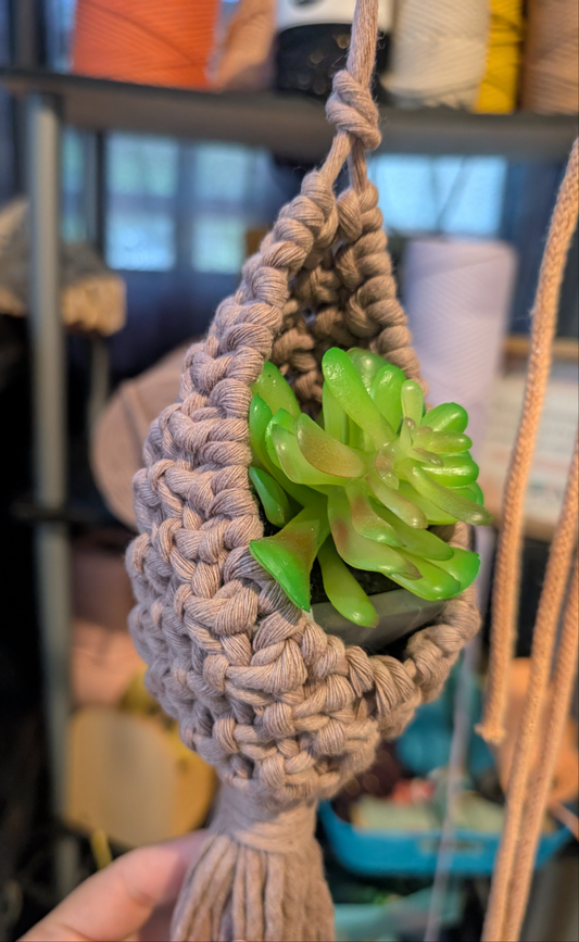 Colgante de plantas Nido